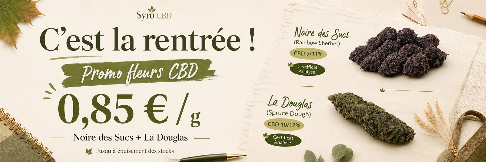 C’est la rentrée ! Promo fleurs CBD 0,85 € / g — Noire des Sucs et La Douglas, jusqu’à épuisement des stocks