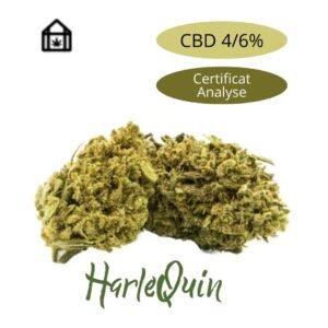 Fleur de chanvre HarleQuin CBD naturelle vendue en ligne à Saint-Agrève, Ardèche