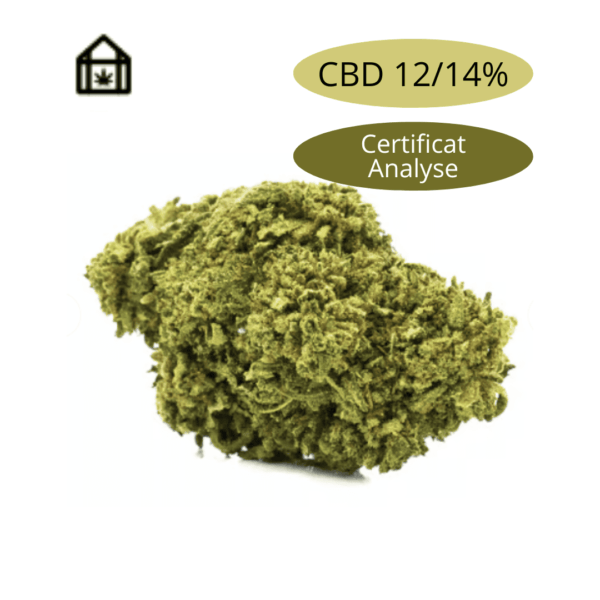 Fleurs de CBD Torus, 12-14% de CBD, cultivée en serre avec certificat d'analyse pour une qualité optimale.