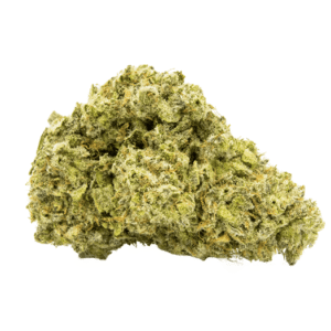 Fleur de CBD naturelle de haute qualité, bud de chanvre vert clair avec texture dense