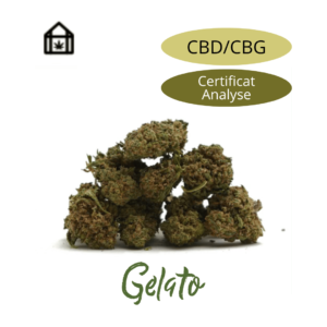 Fleur de chanvre Gelato CBD naturelle vendue en ligne à Saint-Agrève, Ardèche