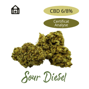 Fleur de chanvre Sour Diesel CBD naturelle vendue en ligne à Saint-Agrève, Ardèche Fleur de chanvre Sour Diesel CBD naturelle vendue en ligne à Saint-Agrève, Ardèche