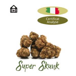 Fleur de chanvre Super Skunk CBD naturelle vendue en ligne à Saint-Agrève, Ardèche