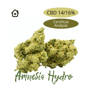 Fleur de chanvre Amnesia Hydro CBD naturelle vendue en ligne à Saint-Agrève, Ardèche