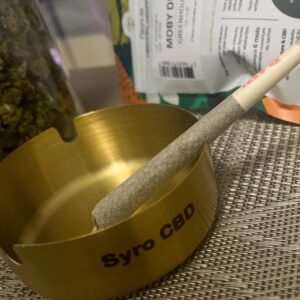 Cendrier Syro CBD De Mars