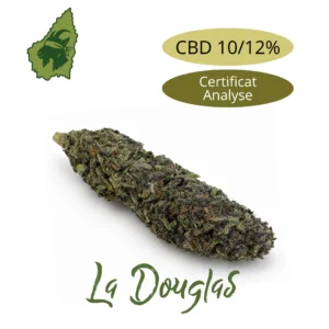 Fleur de CBD Douglas 10 à 12 pourcent, tête entière compacte, aspect naturel, avec certificat d’analyse