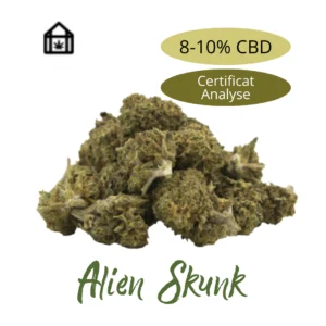 Alien Skunk – FLEURS CBD