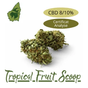 Fleur CBD Tropical Fruit Scoop 10% Syro CBD à Saint-Agrève avec certificat d’analyse