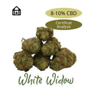 Fleur White Widow CBD Indoor 8 à 10 % cultivée en intérieur – Syro CBD